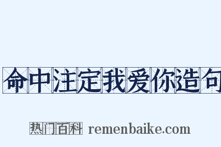 命中注定我爱你造句是什么意思的图片